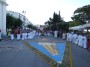 infiorata (131)